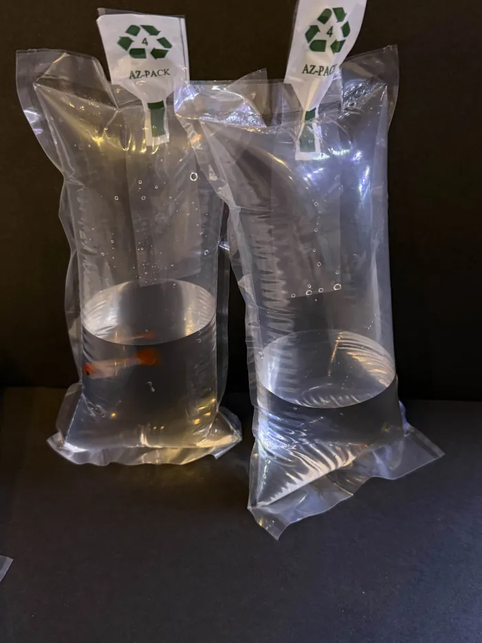 4"x 8" Professional Live Fish shipping Bag - Image 4