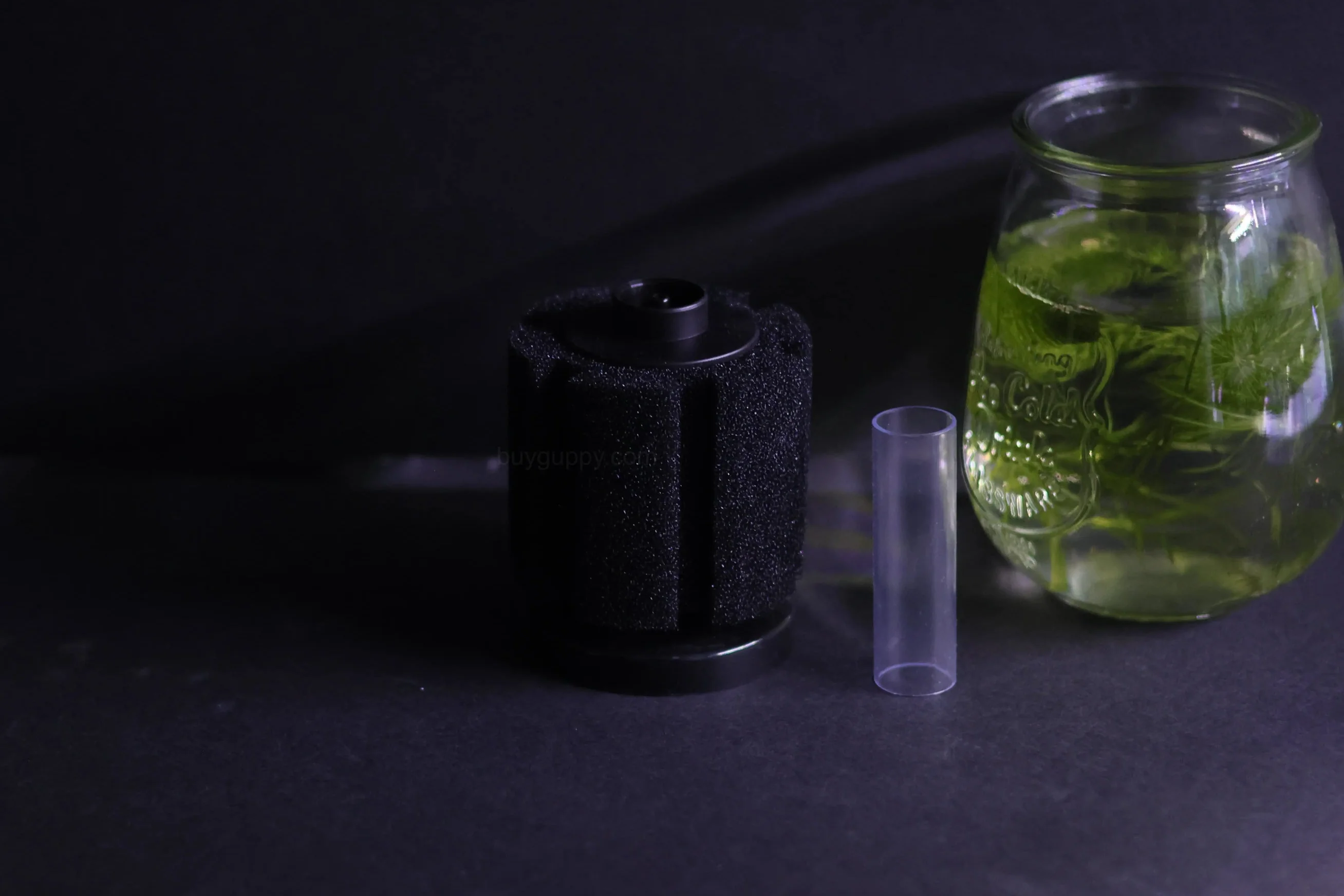 Sponge Filter (Up to 20 gallon)