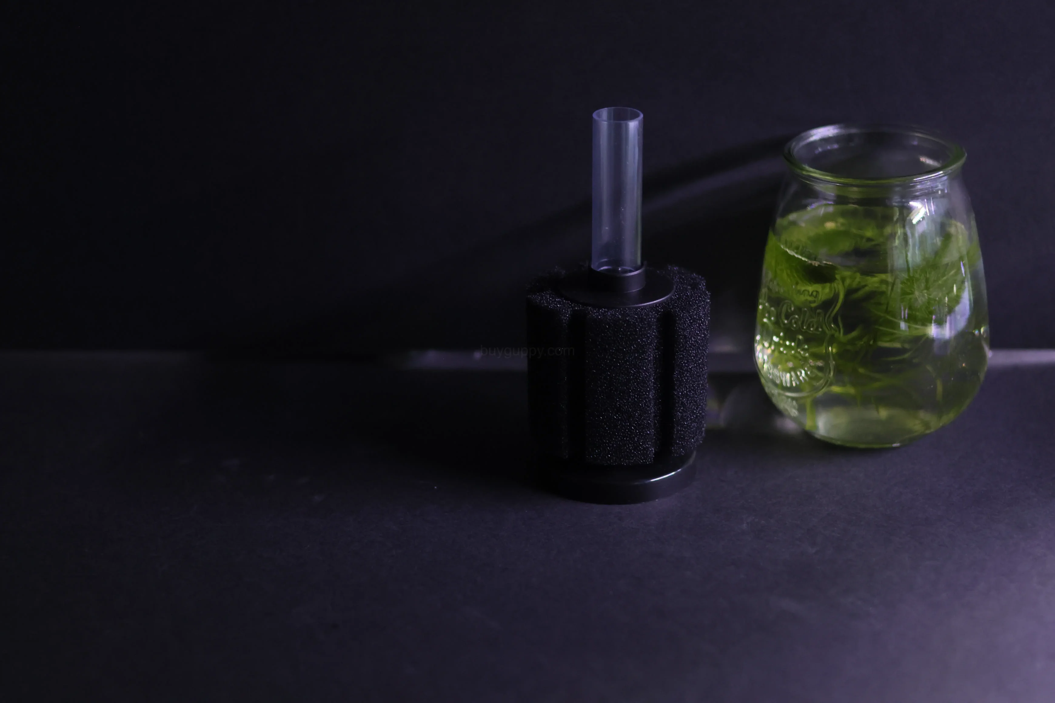 Sponge Filter (Up to 20 gallon) - Image 3