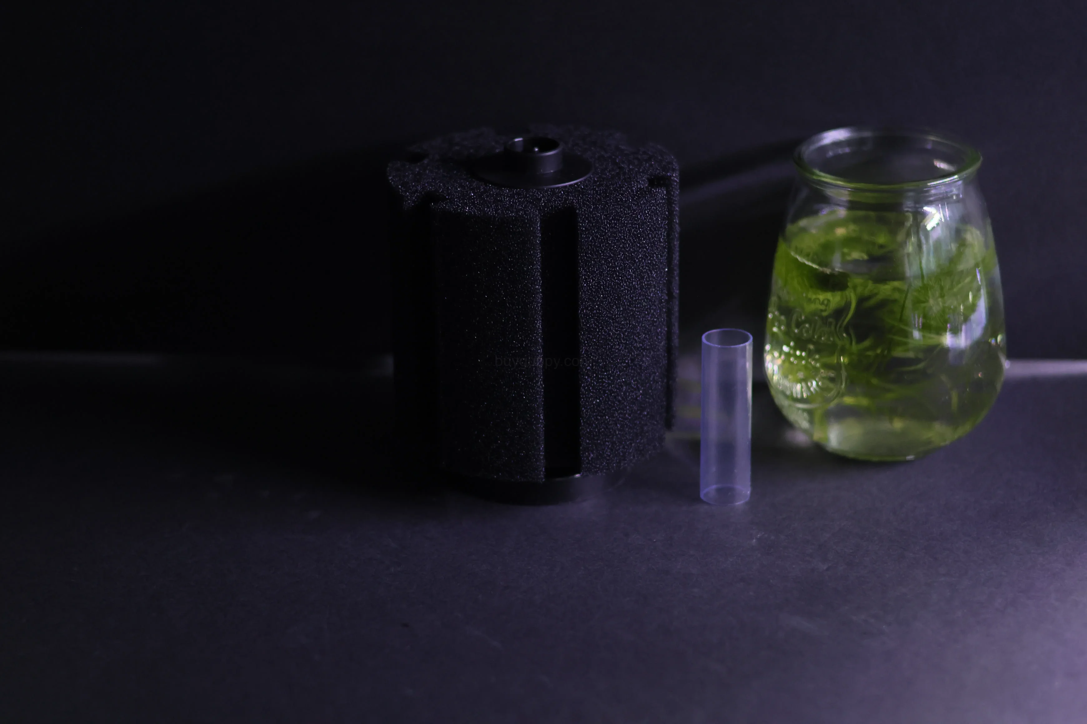 Sponge Filter (Up to 60 gallons)