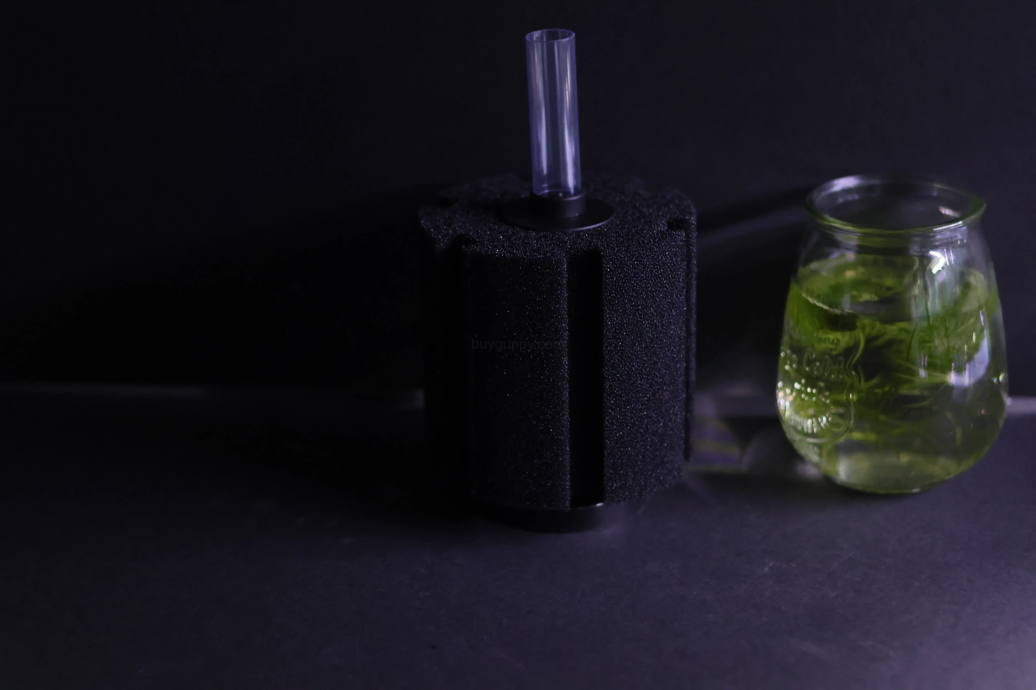 Sponge Filter (Up to 60 gallons) - Image 3